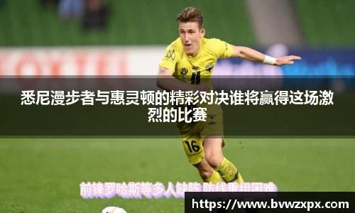 悉尼漫步者与惠灵顿的精彩对决谁将赢得这场激烈的比赛